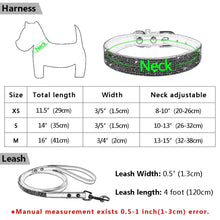 Cargar imagen en el visor de la galería, Size chart for leather dog collar and leash set with measurements in inches and centimeters for XS to M sizes.