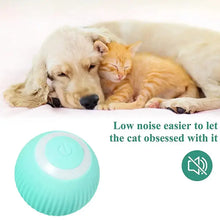Load image into Gallery viewer, Smart Rolling Ball with low noise feature, ideal for pet-friendly cleaning. Dog and cat resting together, showcasing peaceful environment.