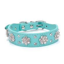 Cargar imagen en el visor de la galería, Turquoise leather pet collar with crystal flower decorations for puppies and cats.