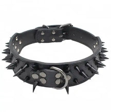 Load image into Gallery viewer, Spiked studded leather pet collar with edgy design, featuring durable leather and fierce spikes for bold pet fashion.