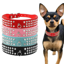 Cargar imagen en el visor de la galería, Chihuahua wearing adjustable leather bowknot collar with sparkling rhinestones, next to stacked studded collars in red, pink, blue, and black.