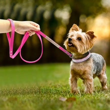 Cargar imagen en el visor de la galería, Small dog wearing a stylish pink leather collar and leash set, standing on grass with a person holding the leash.