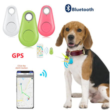Load image into Gallery viewer, eThings Pet Smart GPS Tracker

