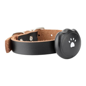 eThings Waterproof Mini GPS Collar