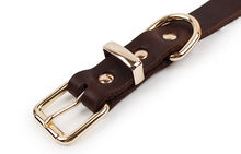 Load image into Gallery viewer, Leather Dog Collar
