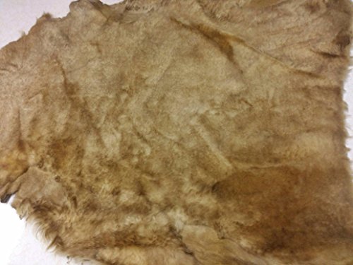 Ostrich skin Leather, Charcoal Black SF